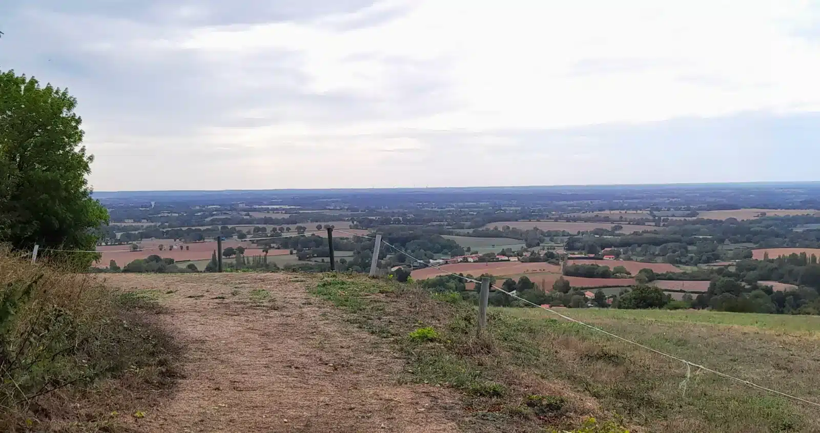 Paysage de bocage vendéen avec ses haies, ses petits chemins creux et ses prairies ondulantes